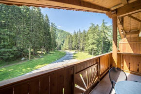 Ferienhaus Maria Edelweiss Plan